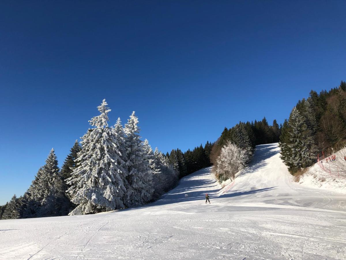 Appartement Montagne Le Revard Pugny-Chatenod 外观 照片